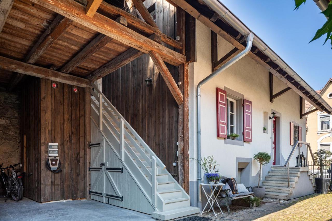 Kleiner Hof Rosenrot Lägenhet Endingen am Kaiserstuhl Exteriör bild